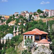 bi̇leci̇k karot hizmet bölgemiz